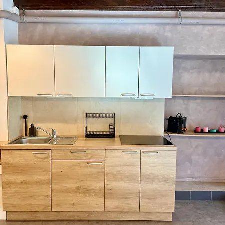 Historic Beneath The Castle In The Old Centre Apartment Laibach